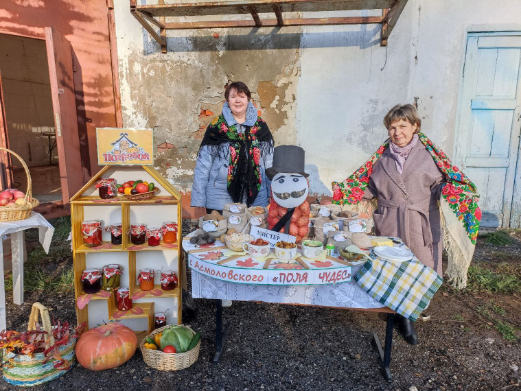 СМОТР - ВЫСТАВКА «НАШ ПОГРЕБОК».
